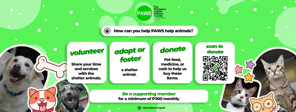 PAWS (Philippine Animal Welfare Society)