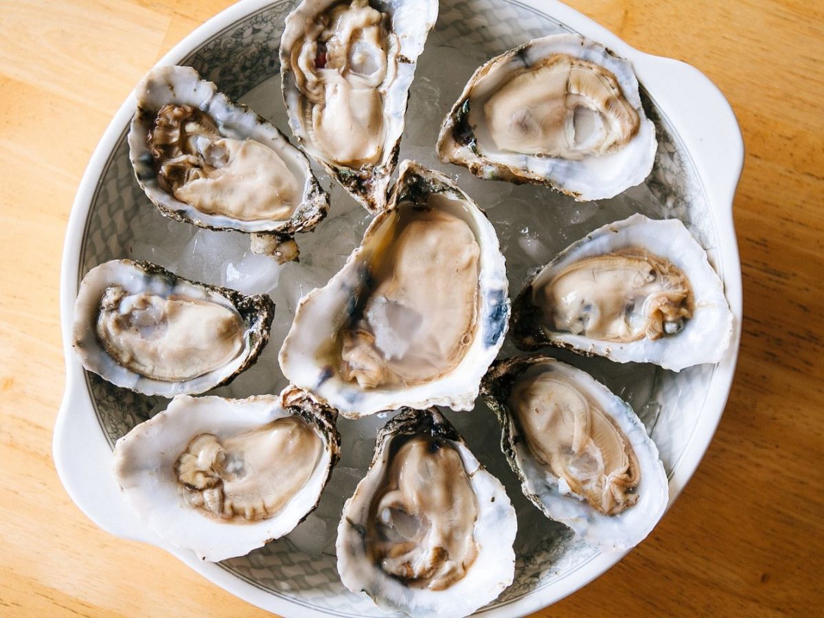 Wantusawa Oyster Promo