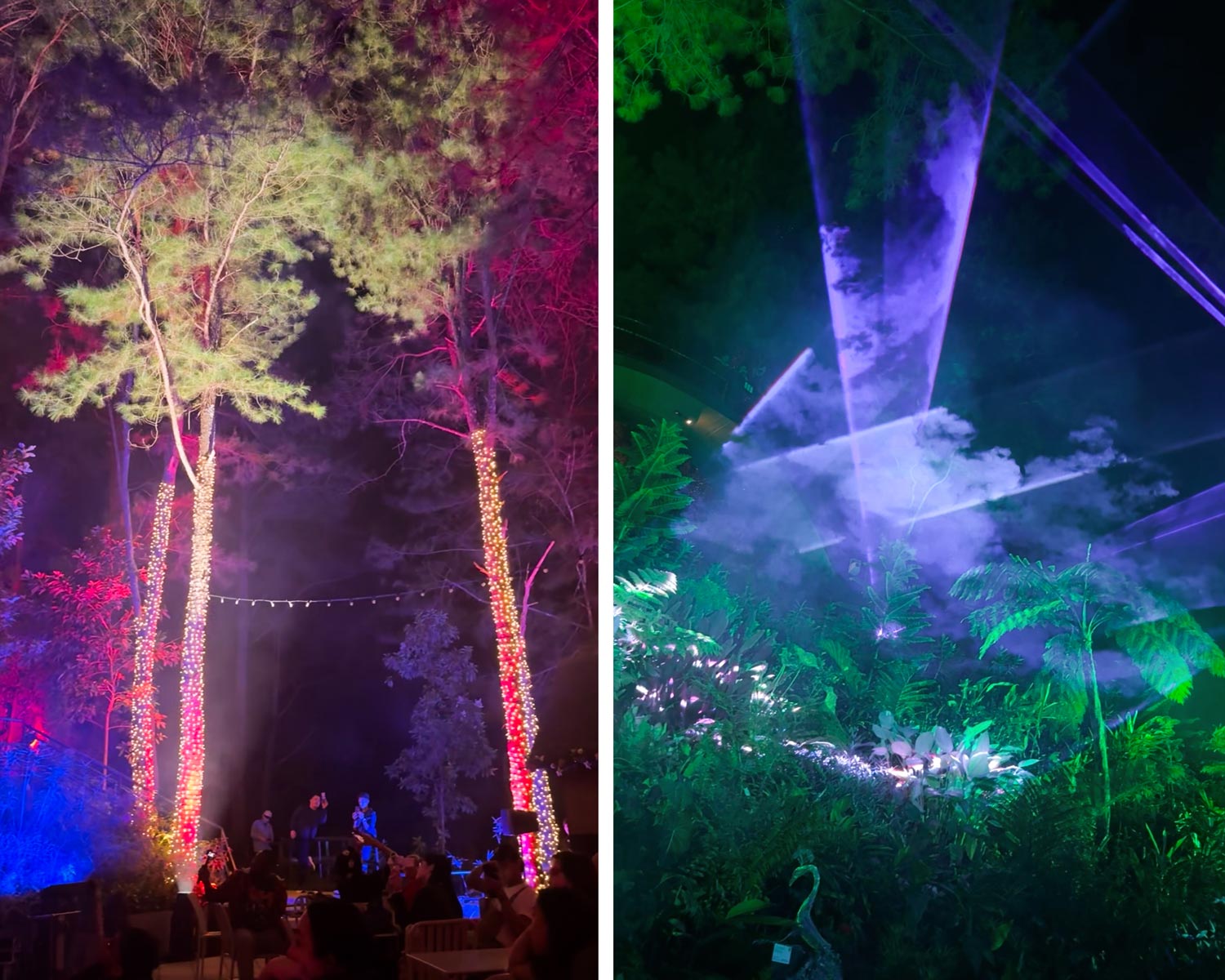 Light-Show_Mt-Camisong_GenZMagazine_ShotbyEm_13