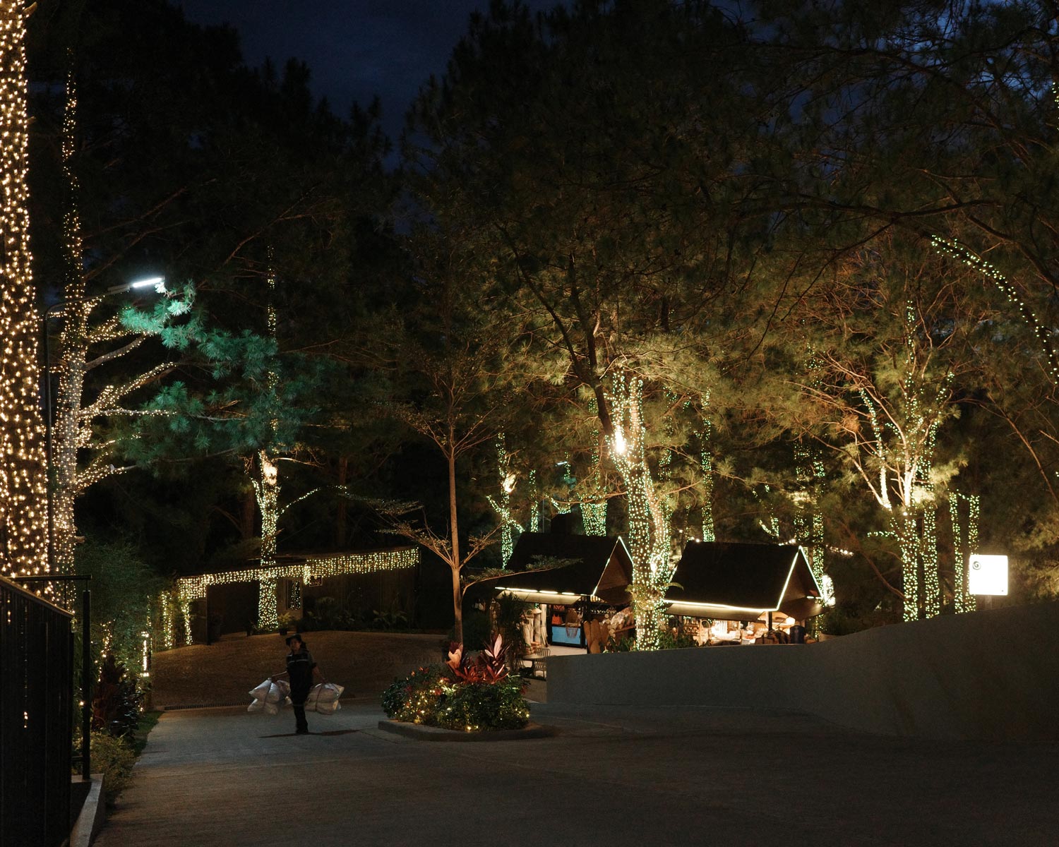 Mt-Camisong_GenZMagazine_ShotbyEm